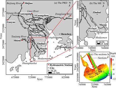 Flood-driven jet flow and sedimentary regime in a river-dominated estuary